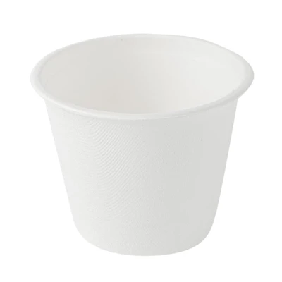 Bagasse suppekop